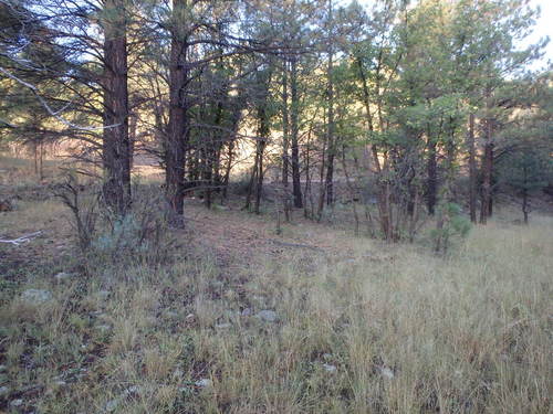 GDMBR: We left no trace.